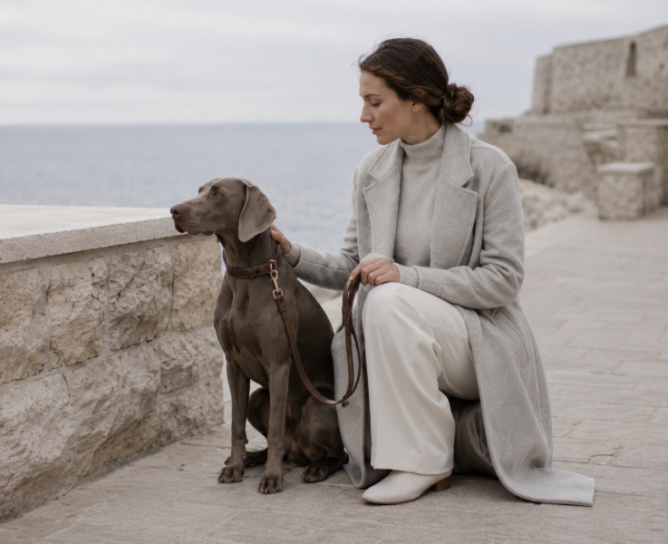 Woman walking grey dog