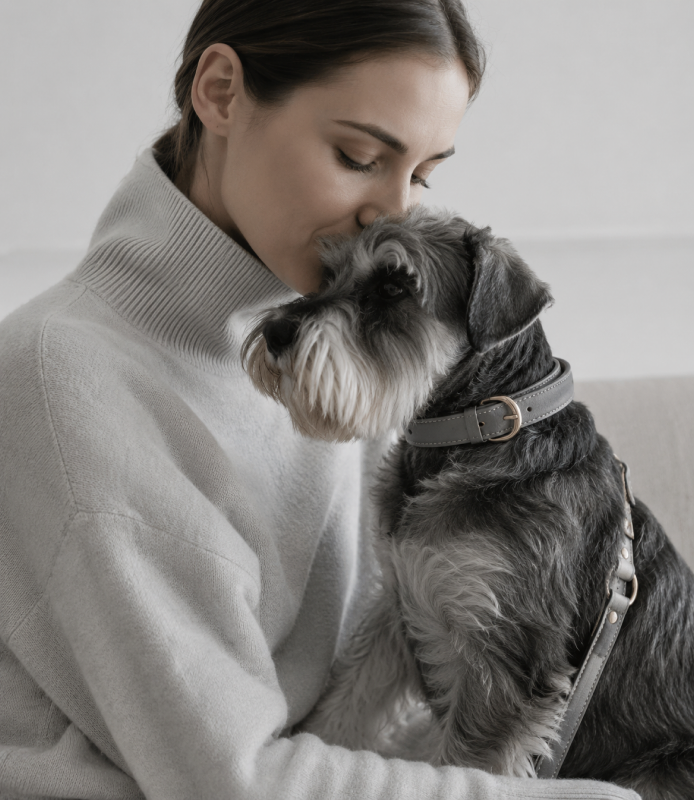 Small companion with collar